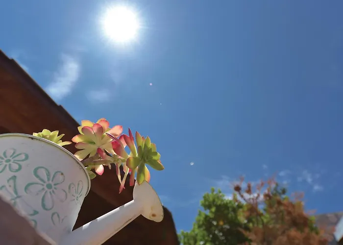 With Sea View I 耶泽拉